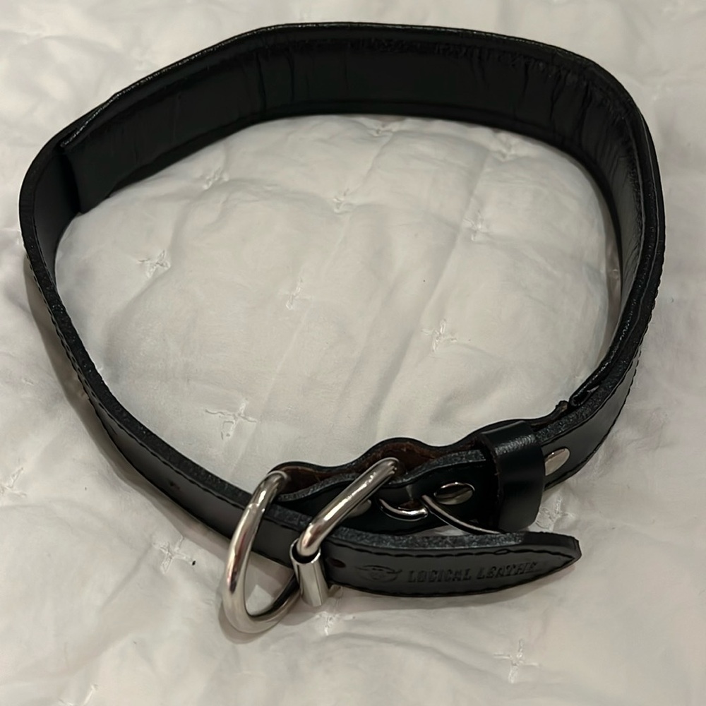 Large Leather Dog Collar